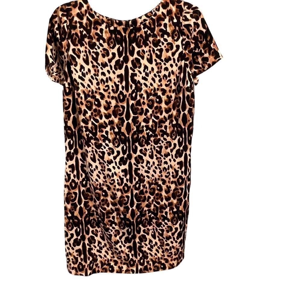 The Limited Cheetah Leopard Print Dress Womens Medium Short Sleeve Back Zip
